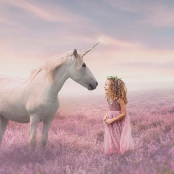 Reasonable offers welcome! - Picture 7 of 10